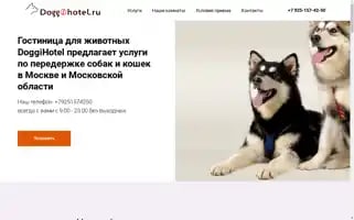 Doggihotel.ru Screenshot 2024-04-17 11:04:37