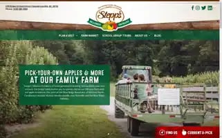 Steppapples.com Screenshot 2024-07-02 03:55:27