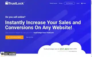 Trustlock.co Screenshot 2024-06-13 13:29:04