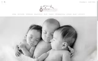 Dianebartoo.com Screenshot 2024-05-15 19:53:02