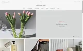 Paperplanestore.com Screenshot 2024-05-04 09:32:48