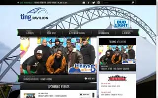 Tingpavilion.com Screenshot 2024-06-13 23:02:18