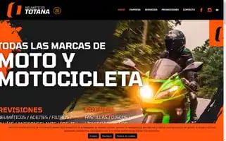 Neumaticostotana.com Screenshot 2024-07-09 19:50:57