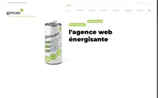 Ginsao.fr Screenshot 2024-07-01 17:52:53