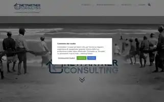 Netpartnerconsulting.com Screenshot 2024-07-02 03:34:01