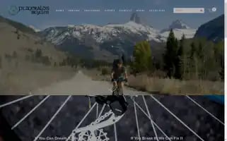 Fitzgeraldsbicycles.com Screenshot 2024-07-02 19:32:26