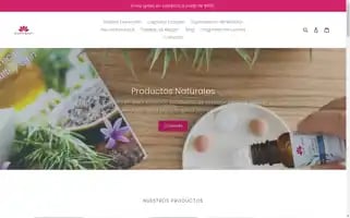 Holisticbeauty.com.mx Screenshot 2024-06-15 19:32:57