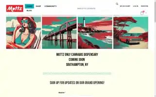 Mottznyc.com Screenshot 2024-05-18 20:00:50