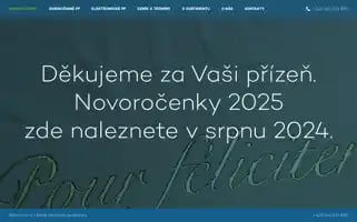 Pf.cz Screenshot 2024-06-17 16:14:47