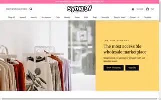 Synergy-marketplace.com Screenshot 2024-04-17 01:40:27