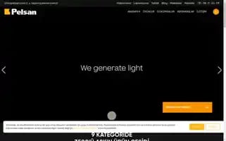 Pelsan.com.tr Screenshot 2024-07-05 09:59:49