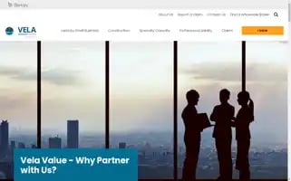 Vela-ins.com Screenshot 2024-07-03 05:58:25