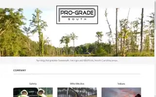 Progradesouth.com Screenshot 2024-07-04 11:59:12