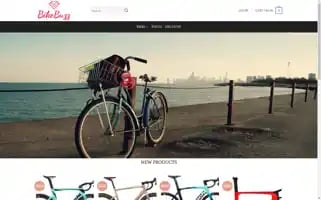 Zonebicycle.com Screenshot 2024-05-26 03:21:02