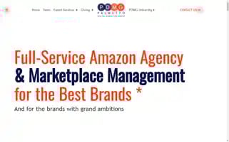 Palmettodigitalmarketinggroup.com Screenshot 2024-05-13 07:38:12