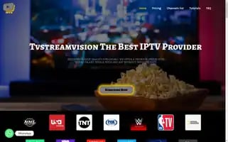 Tvstreamvision.com Screenshot 2024-05-24 19:11:41