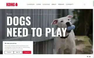 Kongcompany.com Screenshot 2024-05-12 15:24:05