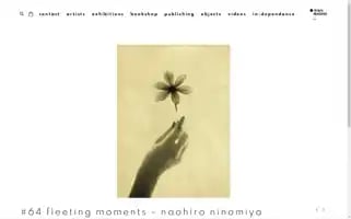 Ibashogallery.com Screenshot 2024-07-02 19:59:23