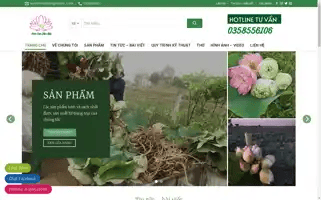 Hoasenvandai.vn Screenshot 2024-05-21 06:26:00