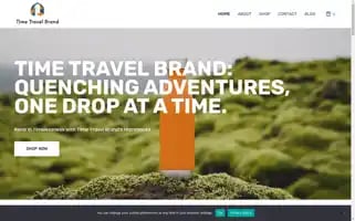 Timetravelbrand.com Screenshot 2024-04-19 06:56:17