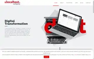 Localhost.company Screenshot 2024-06-15 21:48:45