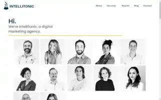 Intellitonic.com Screenshot 2024-07-05 19:53:42