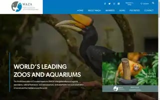 Waza.org Screenshot 2024-06-30 17:55:10