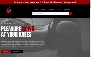Gravitylondonescorts.co.uk Screenshot 2024-05-20 19:29:53