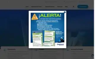 Dolphins-media.com Screenshot 2024-06-27 11:27:50