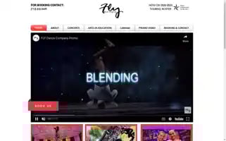 Flydancecompany.com Screenshot 2024-05-09 18:20:22