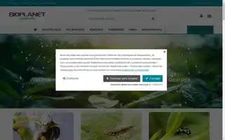 Insectesutiles.fr Screenshot 2024-06-19 00:30:20