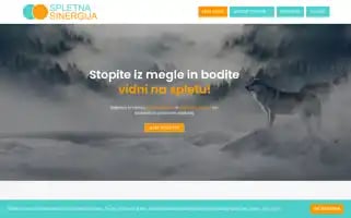 Spletnasinergija.com Screenshot 2024-06-17 01:34:46