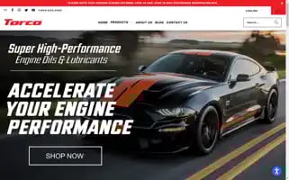 Torcousa.com Screenshot 2024-06-18 09:37:48