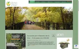 Ansararagon.com Screenshot 2024-06-11 13:29:59