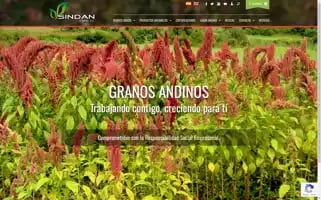 Sindanorganic.com.bo Screenshot 2024-06-30 06:16:25