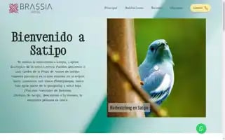 Brassiahotel.com Screenshot 2024-04-17 00:59:38