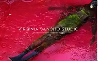 Virginiasanchostudio.com Screenshot 2024-07-08 12:25:15