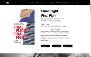 Finalflightfinalfight.com Screenshot 2024-04-26 16:45:17