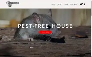 Goprehend.com Screenshot 2024-05-29 11:19:41