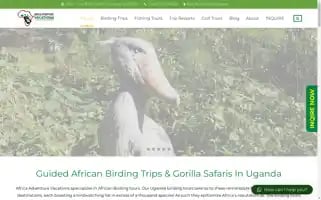 Africanbirdingtrips.com Screenshot 2024-04-24 06:25:20