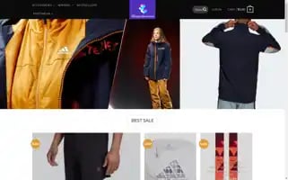 Thesportswearco.com Screenshot 2024-05-23 21:55:57