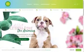 Agorasana.be Screenshot 2024-06-19 06:45:06