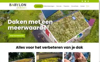 Babylondaken.nl Screenshot 2024-05-20 15:51:54