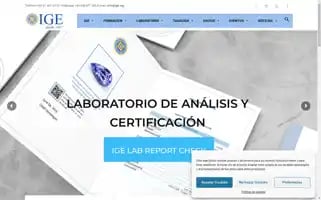 Ige.org Screenshot 2024-07-01 01:43:14