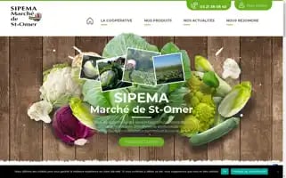 Sipema.fr Screenshot 2024-06-17 16:36:17