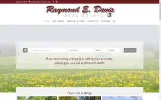 Raydavisrealestate.com Screenshot 2024-07-07 04:36:52