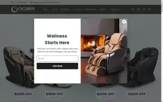 Ogawaworldusa.com Screenshot 2024-06-16 19:45:11