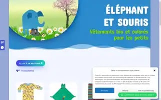 Elephantetsouris.fr Screenshot 2024-05-28 02:54:57