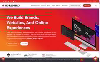 Bigredjelly.com Screenshot 2024-06-11 17:28:34