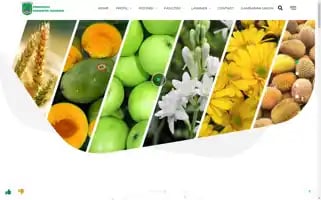 Pasuruankab.go.id Screenshot 2024-06-18 10:05:15